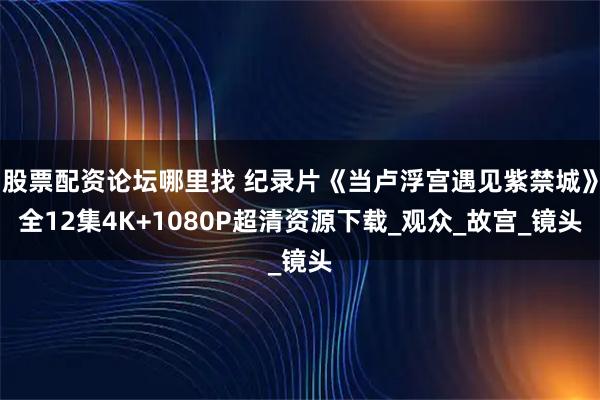 股票配资论坛哪里找 纪录片《当卢浮宫遇见紫禁城》全12集4K+1080P超清资源下载_观众_故宫_镜头