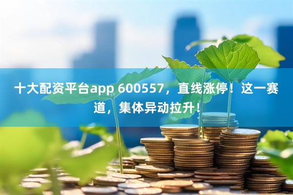 十大配资平台app 600557，直线涨停！这一赛道，集体异动拉升！